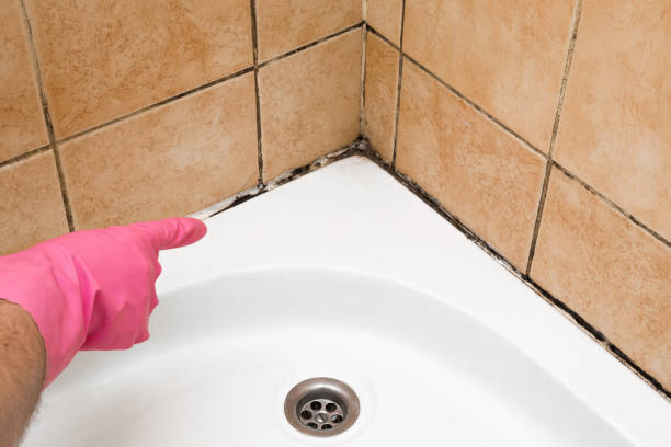 Best Residential Mold Remediation in Eldorado At Santa Fe, NM